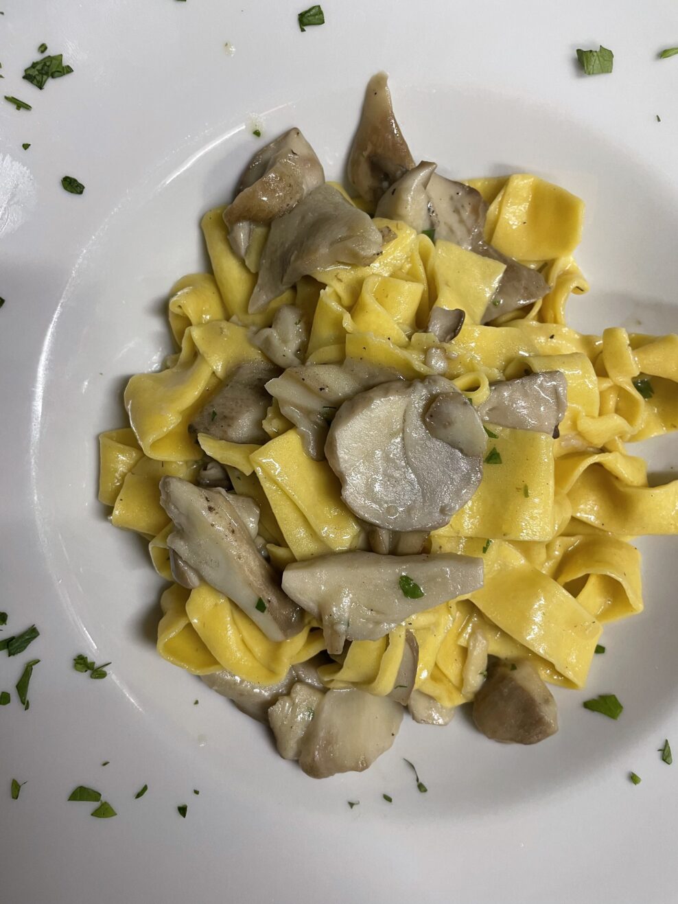 Tagliatelle ai funghi porcini